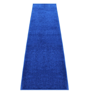 Carpet - Blue